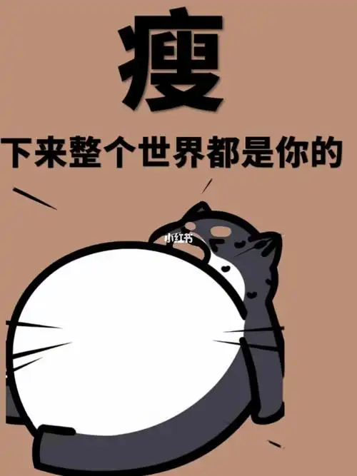 瘦下来你会看到不一样的自己加油