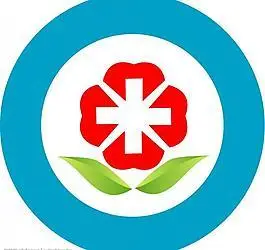 医院红十字标志图片_医院红十字标志素材_医院红十字标志模板免费下载