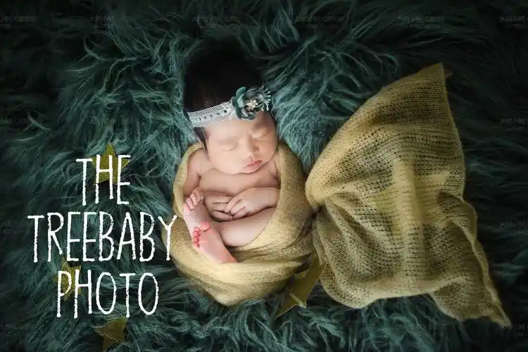 满月车要开了快跟上明星晒宝宝满月照