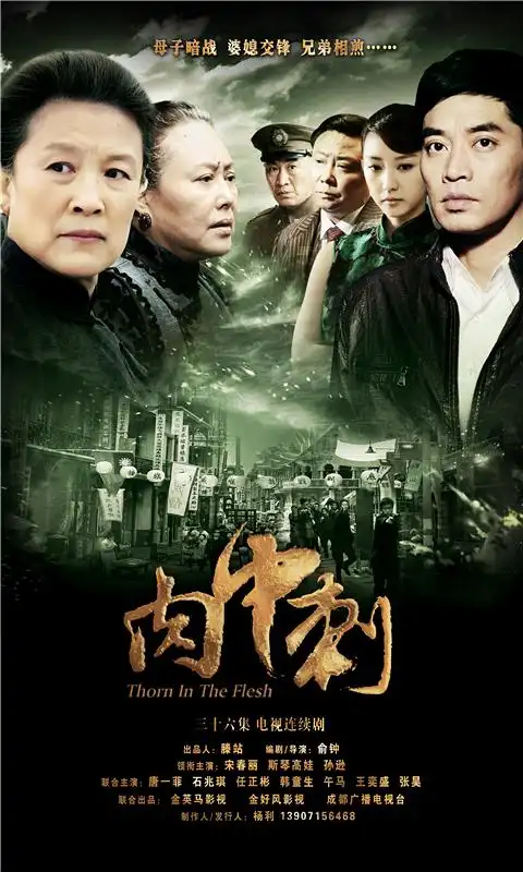 p>《独刺》是由金好风影视文化有限公司出品的电视剧, a target="