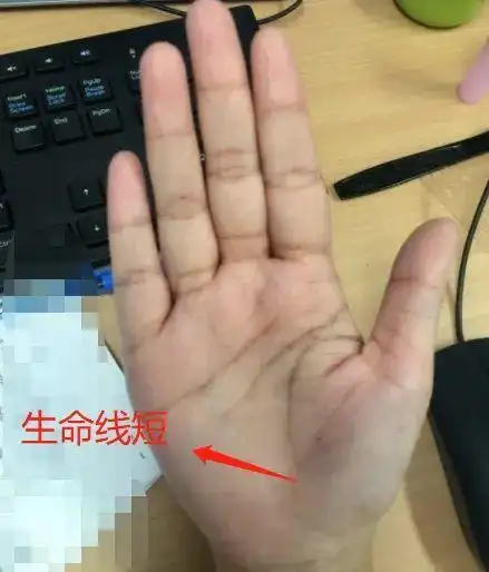 生命线短就代表一定会短寿吗?| 相叔解答第十四期