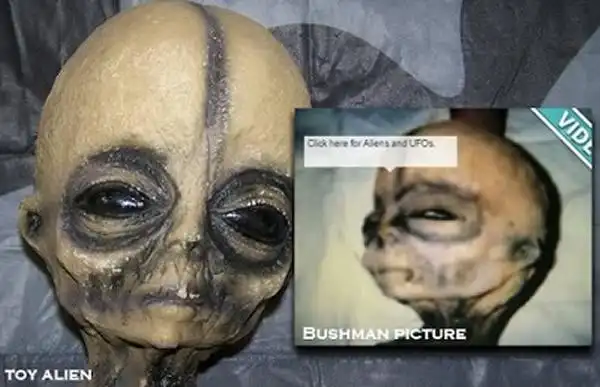 美国洛克希德马丁前工程师公布的外星人照片爆真假争议