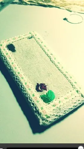 手工自制森系手机壳(拿到手里,感觉整个人都萌萌哒)