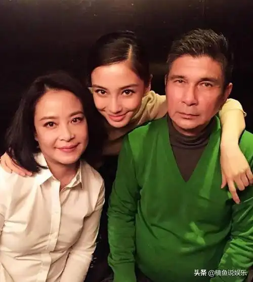 胡歌爸爸绅士儒雅(赵露思爸爸酷似韩国欧巴明星父母颜值有多高) - 品