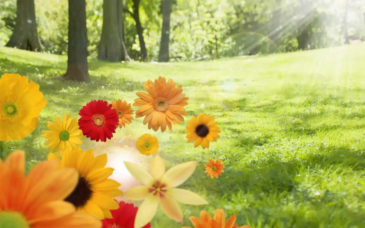 绿色小清新保护视力桌面壁纸高清大图预览1920x1200_风景壁纸下载_美