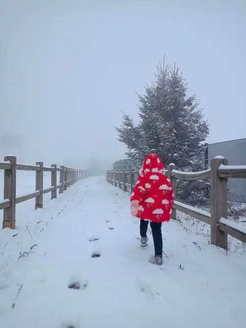 雪山一日游 去年去雪上半路上在甘海子玩嗨,崽的羽绒服在雪地里非常