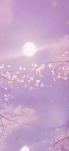 手机壁纸聊天背景少女心壁纸ins潮图赞评论更多