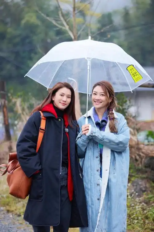 袁咏仪应采儿反客为主