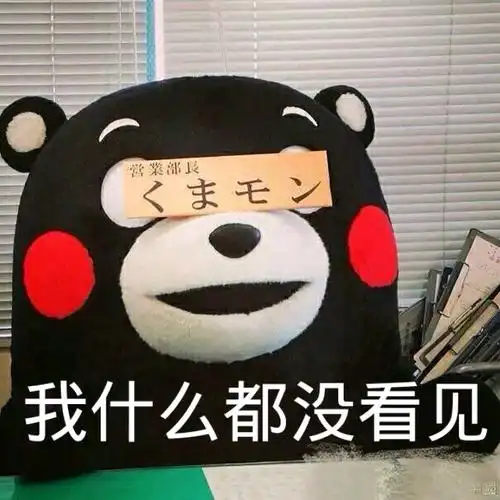 我什么都没看见 - 斗图表情包 - 装逼达人