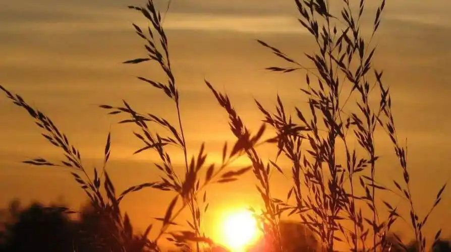 走过的路,遇见的人,十首怀旧的诗词,怀念曾经的美好时光