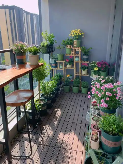 我的小花园,简单又温馨