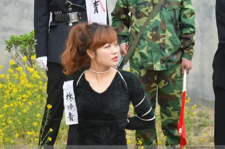 美女毒枭的末日