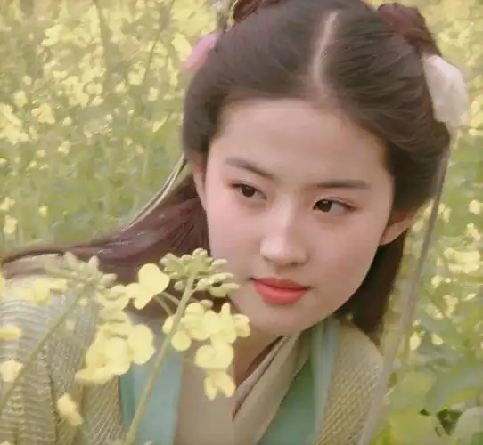 刘亦菲头像|神仙姐姐美哭了,纯图享受 赶快收藏