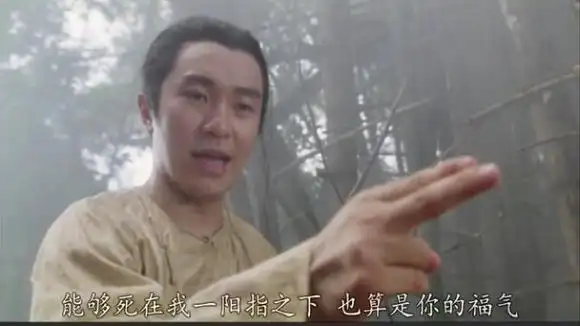 应熊的家丁用火枪将其打死,救了独臂神尼,却说自己用"一阳指"将其所伤