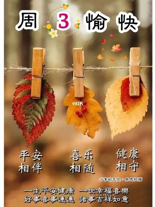 周三愉快.93937590089494