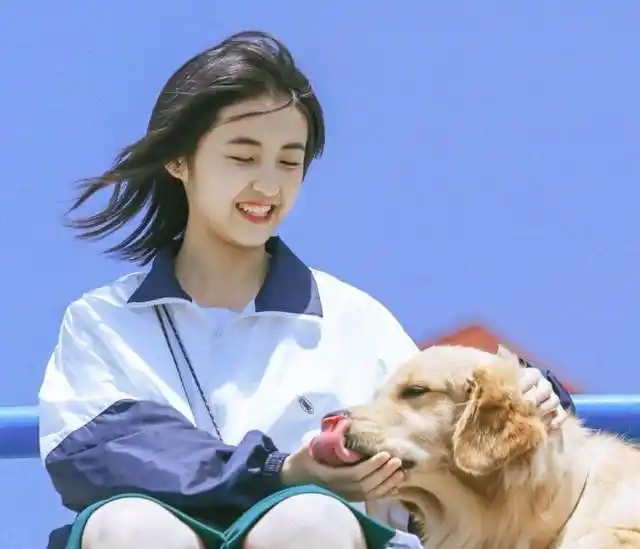 《宠爱》目前的最终票房预计至少能到7亿左右,这也是张子枫电影生涯中