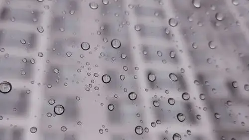 电脑壁纸 摄影 静物写真 透明的雨滴