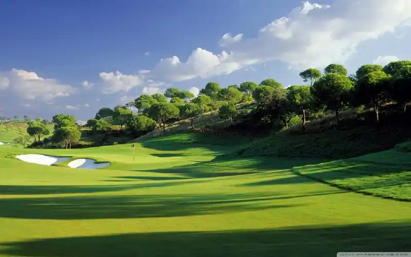 唯美护眼绿色桌面壁纸图片自然风光护眼唯美