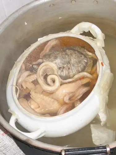 什么是"龙凤汤"(中国粤菜里的一种)