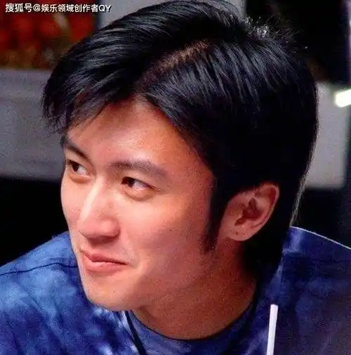 谢霆锋,年轻时一代男神,才华横溢.