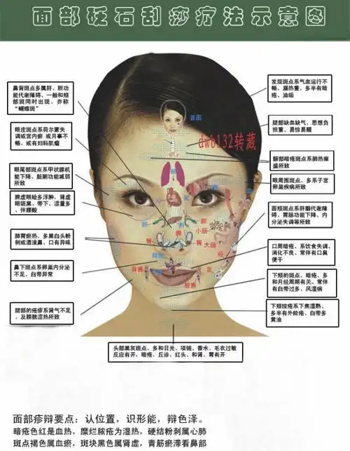 中医面部刮痧示意图