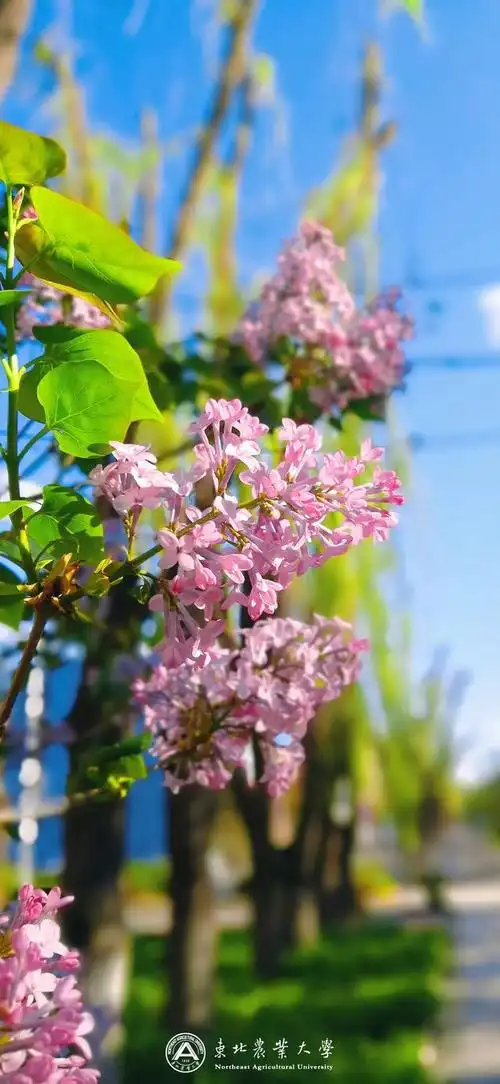 小清新唯美景物图片高清,小清新唯美风景图片,淡雅小清新风景图片