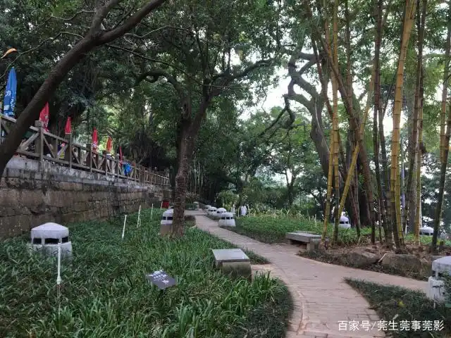 有个可以静坐享受一天的看海点,东莞虎门沙角观海