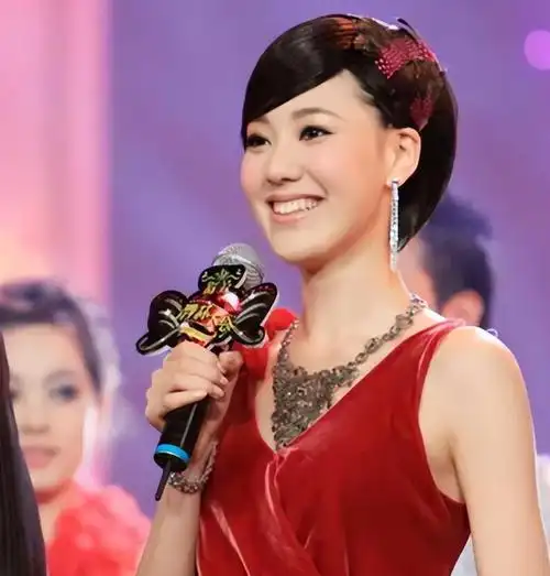 回顾名嘴王冠人红是非多离开央视5年深陷绯闻让人唏嘘