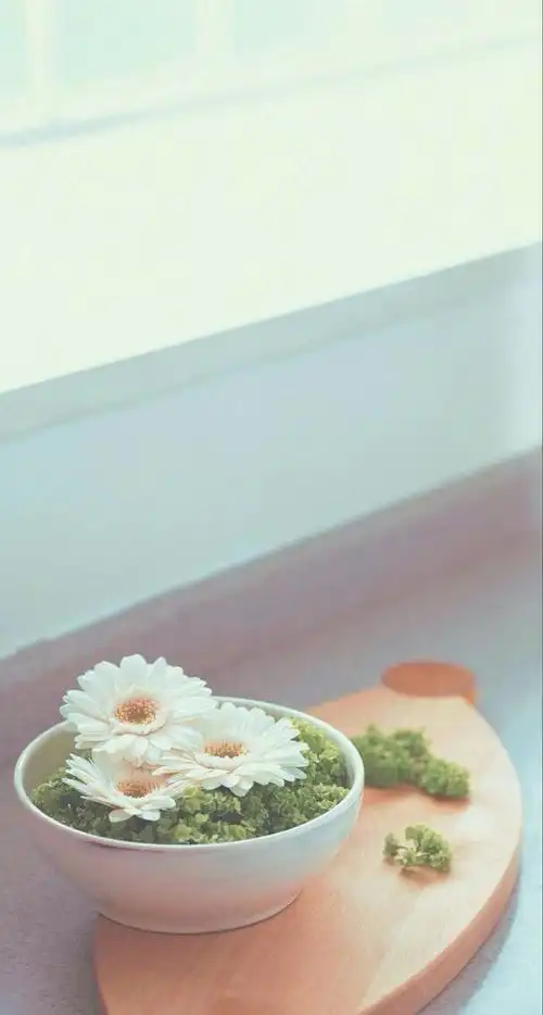 唯美清新文艺花朵高清手机壁纸