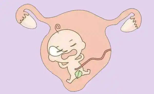 胎儿打嗝的n多问题