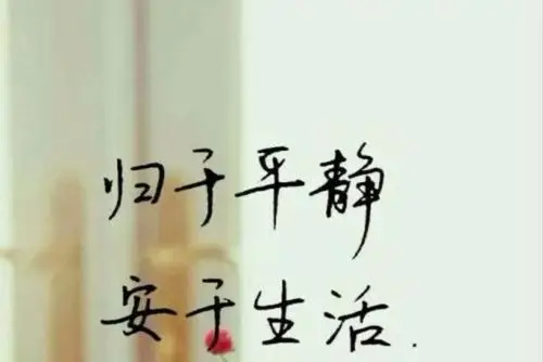 生活 我想,我是喜欢安静的 写美篇 如秋日里的雏鸟, 在交错的枝丫间.