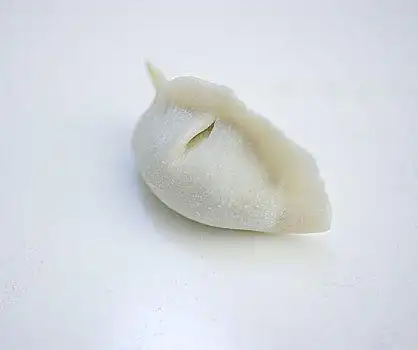 新鲜,手工制作,饺子