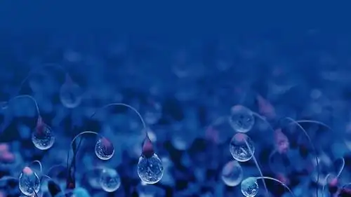 文艺清新唯美可爱清新,使用office2016版本播放,效果更佳.