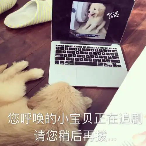 宝贝正在追剧请您稍后再拨呆萌可爱gif动图_动态图_表情包下载_soogif