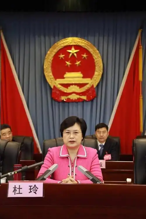 杜玲就加强区人大,人大常委会及其机关建设提出了三点意见.