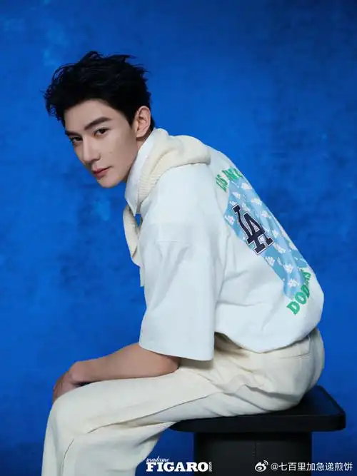 夏之光费加罗封面