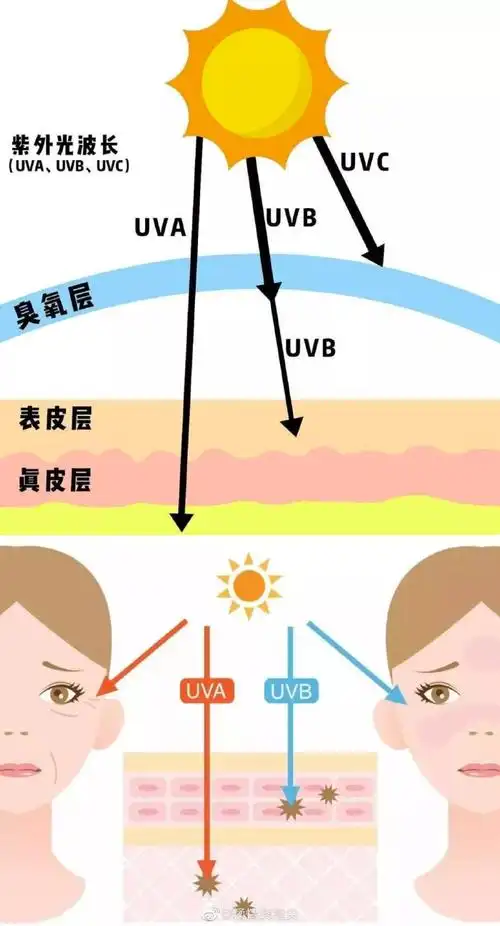 被明星种草的养肤防晒乳