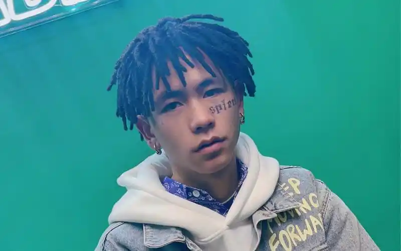 盆栽式短脏辫前后反差效果对比