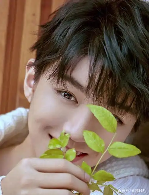 王俊凯:有可爱的虎牙,所以,他是一个活泼机智的机灵鬼,无疑.