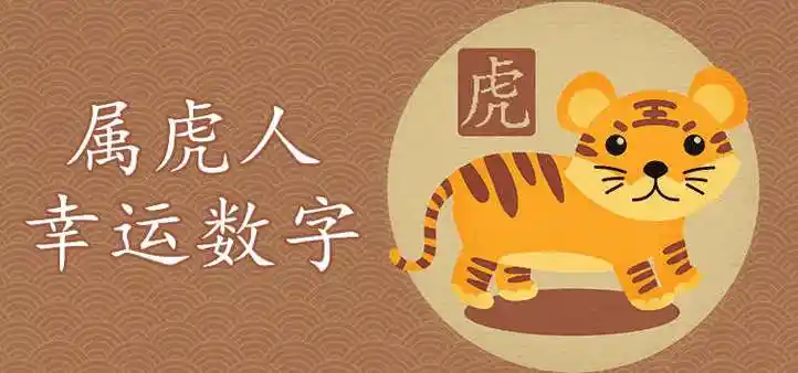 1986属虎的发财数字是什么