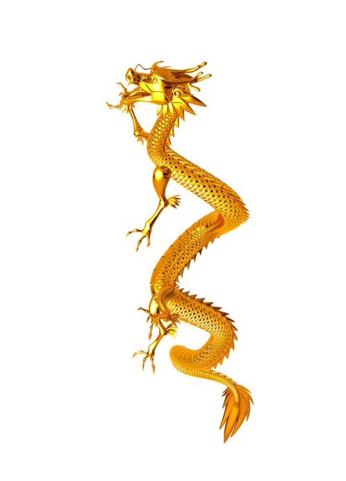 飞龙设计模板素材