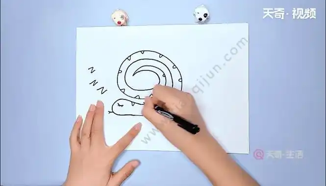动物冬眠简笔画蛇