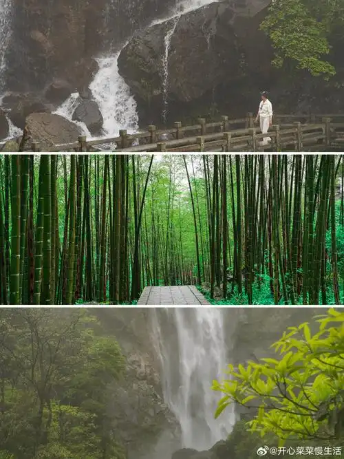去明月山看花花世界##五一去明月山放肆撒野