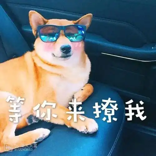 我在这里等你哟!有