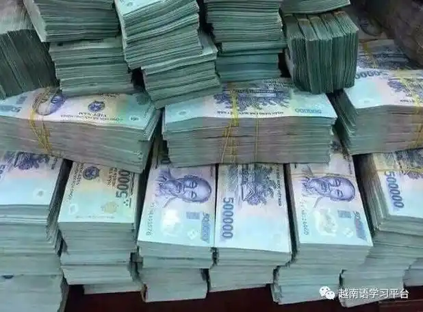 越南盾1亿等于多少人民币(越南盾20万是多少人民币)-第2张图片-七财经