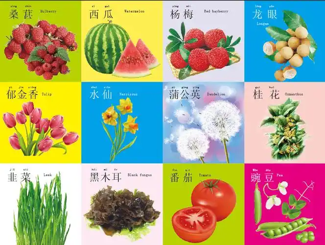 45张儿童撕不烂破早教书籍婴幼儿宝宝识字