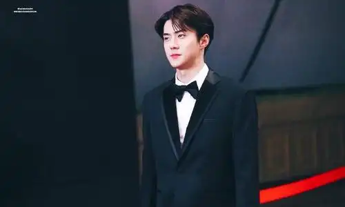 exo吴世勋sehun 壁纸动图 西服