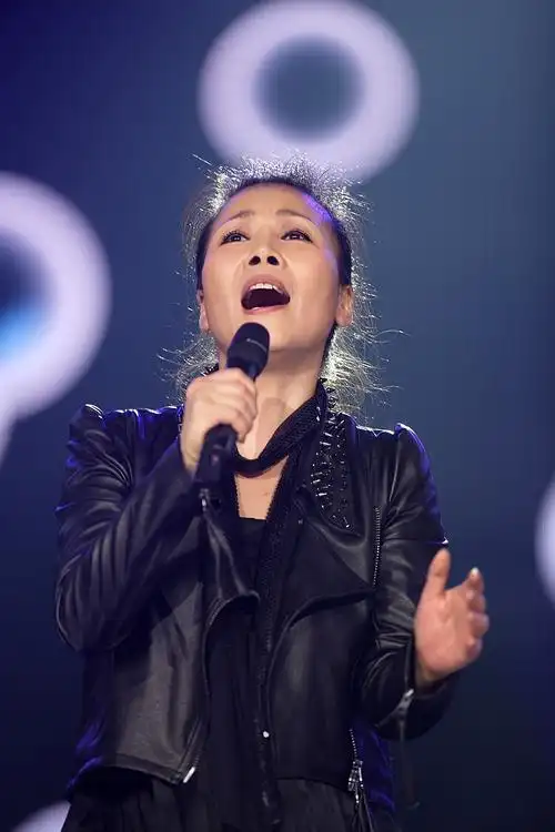 《歌声传奇》——田震