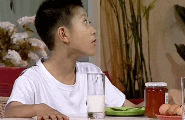 15年前,在《家有儿女》第一部第11集里,刘星说:"我不想当奶油小生