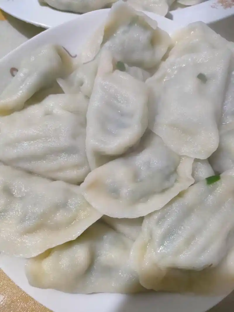 天冷乎乎的,吃个手工饺子暖暖吧[温暖] (茴香肉和韭菜鸡蛋)[悠闲]